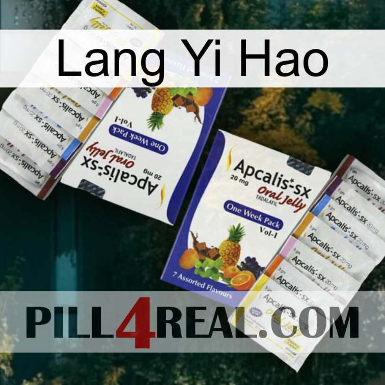 Lang Yi Hao 12